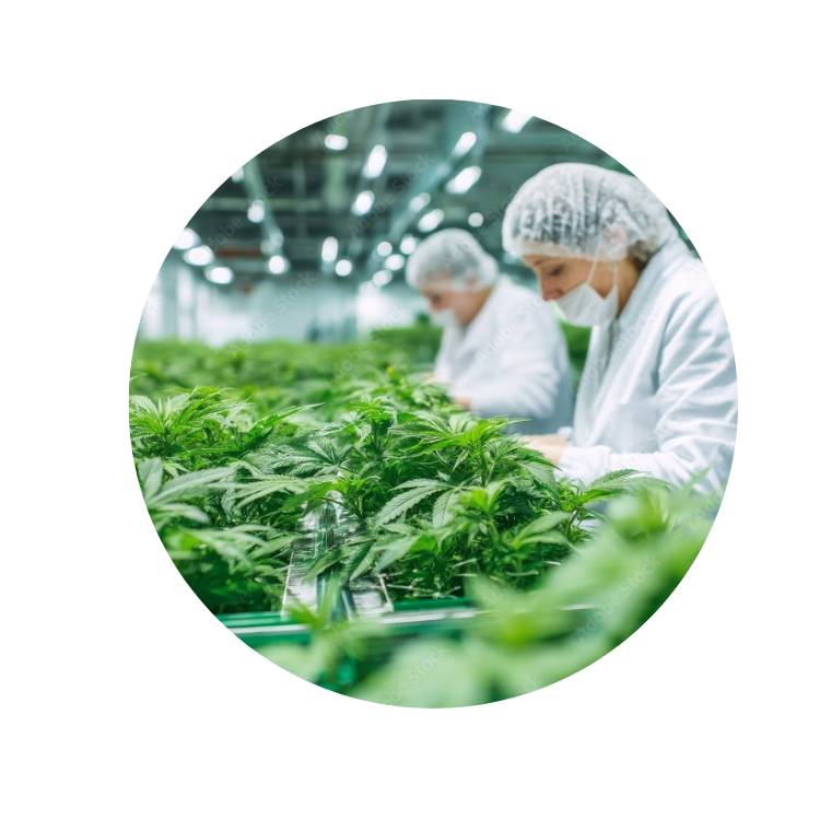 Horticulture recruitment